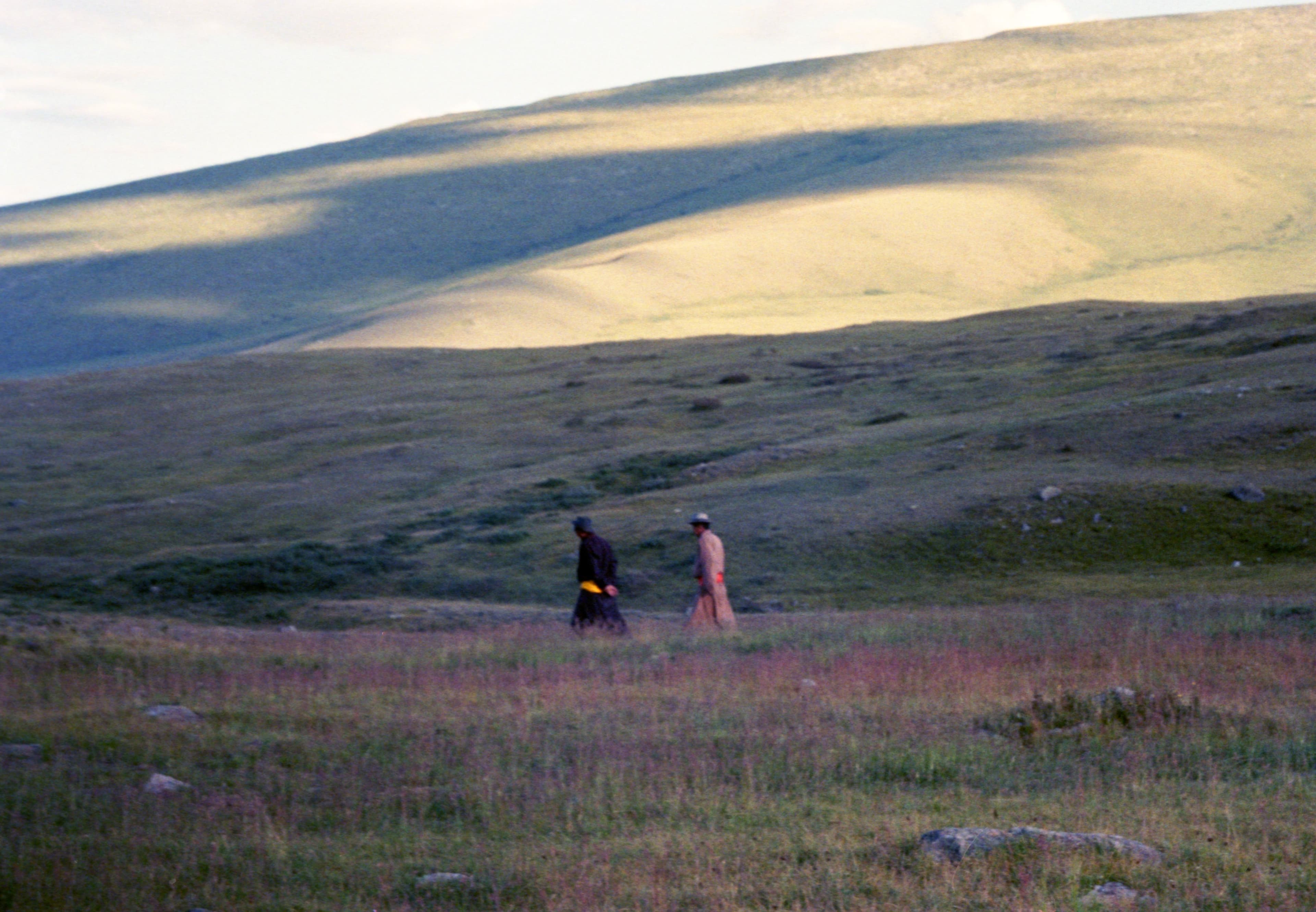 Curiosity & Exploration